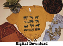 Load image into Gallery viewer, Southern Sayings 20 for $20