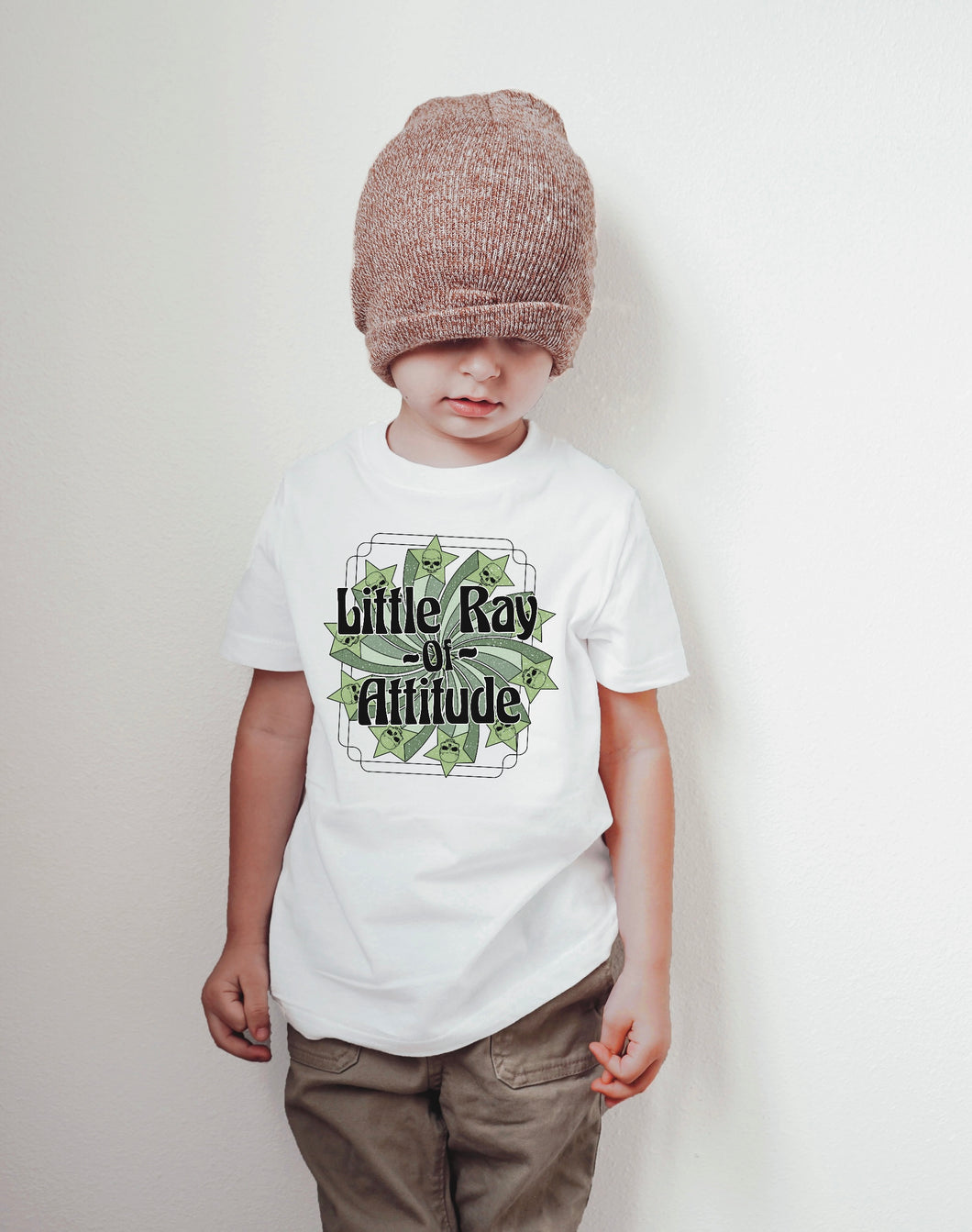 Little Ray Of Attitude - Two Files